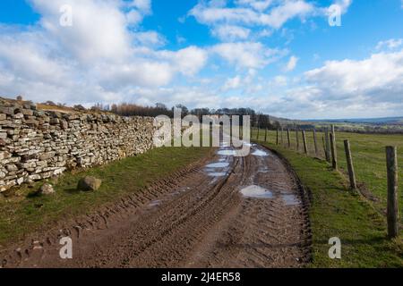 Unebener Weg zum Bolton Castle, Wensleydale, Yorkshire Dales National Park. Ikonische Trockenmauern umschließen Weiden von Schafen. Stockfoto