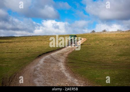 Ein Bauer und sein Hund machen sich auf den rauen Weg, der nach Bolton Castle, Wensleydale, Yorkshire Dales National Park führt. Stockfoto