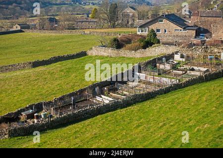 Zuteilungen im Dorf Gunnerside, Swaledale, Yorkshire Dales National Park. Ikonische Trockenmauern umgeben Weiden unterhalb des Dorfes. Ein Mann Stockfoto