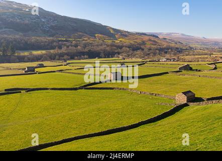 Ikonische Steinhäuser und Trockenmauern von Swaledale in der Nähe von Gunnerside, Yorkshire Dales National Park Stockfoto