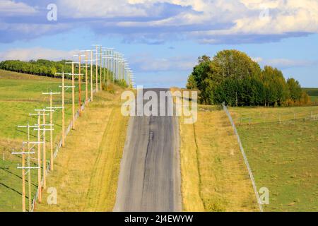 Eine Landstraße mit Reihen von Holzmasten in Alberta, Kanada. Ein Versorgungs-Pol, abwechselnd als Power-Pol, Telefonpol, Telegraph bezeichnet Stockfoto