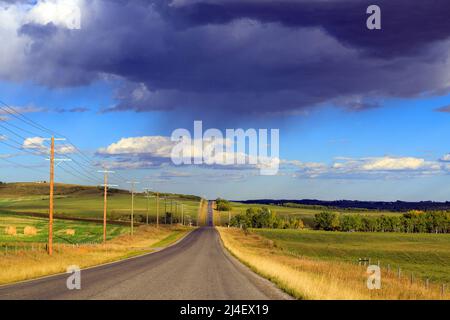 Eine Landstraße mit Reihen von Holzmasten in Alberta, Kanada. Ein Versorgungs-Pol, abwechselnd als Power-Pol, Telefonpol, Telegraph bezeichnet Stockfoto