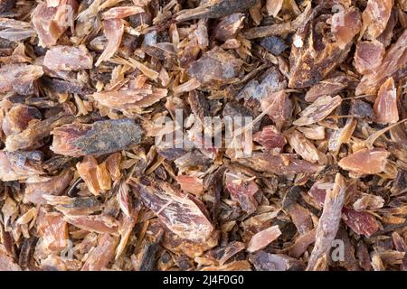 maldivische Fischchips oder Flocken, getrocknete und geräucherte Fischstücke, in kleinen Mengen in sri lanka und den malediven verwendet Stockfoto