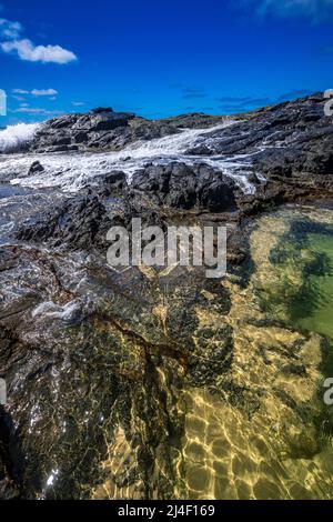 Champagnerpools auf Fraser Island, Queensland, Australien Stockfoto