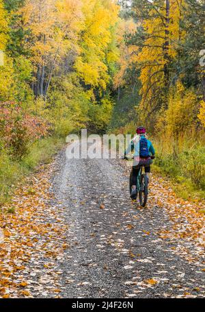 Eine Frau mittleren Alters, die mit dem Mountainbike auf dem Cascades-to-Palouse-Trail in den Eastern Cascade Mountains entlang des Yakima River, Washington, fährt. Stockfoto