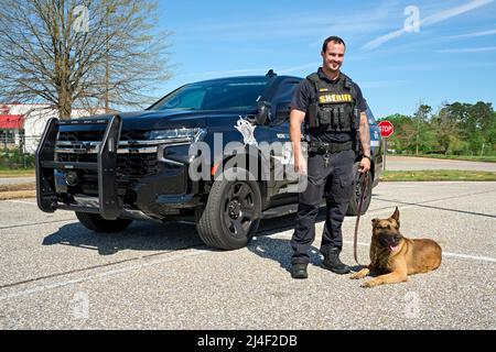 Polizeibeamter K-9 oder stellvertretender Sheriff K-9 mit seinem Polizeihund K-9 vor einem Polizei-SUV-Kreuzer in Montgomery Alabama, USA. Stockfoto