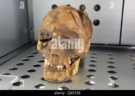 Ein mumifizierter Schädel der Guanchen-Mumien aus der alten Berber-Gemeinde Teneriffa, der in einem Museum in Santa Cruz, Kanarische Inseln, Spanien, ausgestellt ist. Stockfoto