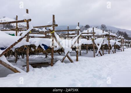 Koreanischer Winter getrockneter Pollack. Die weiße schneebedeckte Landschaft von Hwangtae-deokjang. Stockfoto