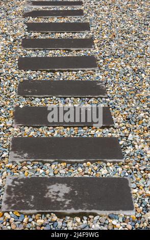 Pfad der beschichteten Steine auf Kiesbett im Garten. Meditativer Steinweg. Gartenarchitektur, Wegzubehör zum Gartenteich. Niemand, selektiver Fokus Stockfoto