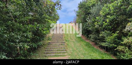 Xuhai Prairie landschaftlich schöner Prärieweg Pingtung County, Taiwan Stockfoto