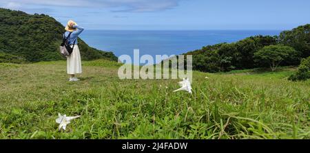 Xuhai Prairie landschaftlich schöner Prärieweg Pingtung County, Taiwan Stockfoto