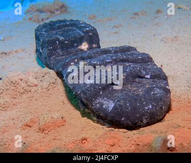 Ein Stiefel auf dem Wrack der SS Thistlegorm im Roten Meer, Ägypten Stockfoto