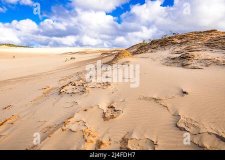 Eine ungewöhnliche Landschaft erwartet die Besucher des Wungul Sandblow auf Fraser Island. Queensland, Australien Stockfoto