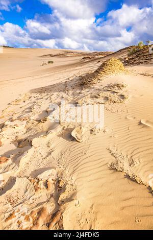 Eine ungewöhnliche Landschaft erwartet die Besucher des Wungul Sandblow auf Fraser Island. Queensland, Australien Stockfoto