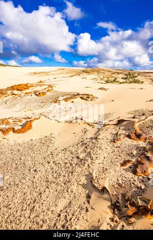 Eine ungewöhnliche Landschaft erwartet die Besucher des Wungul Sandblow auf Fraser Island. Queensland, Australien Stockfoto