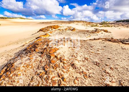 Eine ungewöhnliche Landschaft erwartet die Besucher des Wungul Sandblow auf Fraser Island. Queensland, Australien Stockfoto