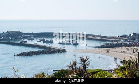Frühlingssonne auf dem alten Steinpier, bekannt als Cobb, der den Hafen bei Lyme Regis bildet, und auf dem angrenzenden Strand an der Jurassic Coast UK Stockfoto