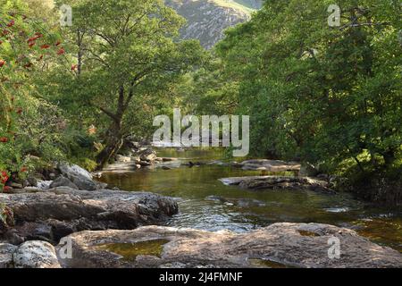 Nebenfluss des Flusses Shiel am frühen Morgen in der Nähe der Shiel Bridge, Loch Duich, Highlands, Schottland. Stockfoto