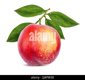 Peach isolieren. Pfirsich mit Blatt auf weißem Hintergrund. Volle Schärfentiefe. Stockfoto