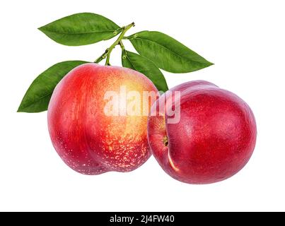 Peach isolieren. Pfirsich mit Blatt auf weißem Hintergrund. Volle Schärfentiefe. Stockfoto