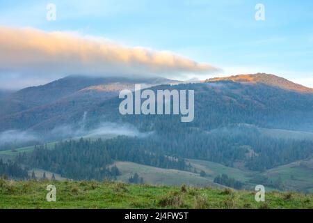 Sonniger Morgen im Sommer ukrainische Karpaten. Leichter Nebel zwischen bewaldeten Bergen. Die ersten Sonnenstrahlen erleuchten die Berggipfel Stockfoto