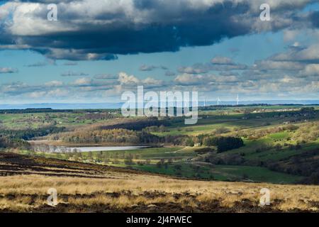 Malerisches sonniges, ländliches Washburn Valley (Stausee von Swinsty, Weiden auf dem Land, hohe, riesige Windturbinen, bewölkt) - North Yorkshire, England, Großbritannien. Stockfoto