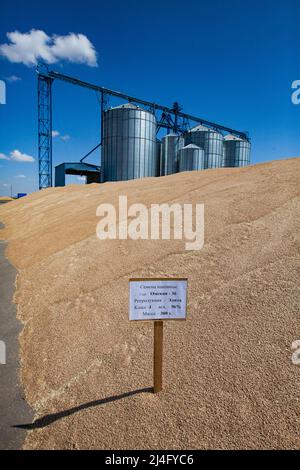 Provinz Nordkasachstan, Kasachstan - 12. Mai 2012: Riesiger Weizenhaufen und Markierungszeichen. Moderner Stahlaufzug im Hintergrund. Blauer Himmel. Stockfoto
