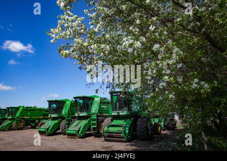 Provinz Nordkasachstan, Kasachstan - 12. Mai 2012: Frühjahrsaat. Landwirtschaftliche Maschinen (Mähdrescher) auf dem Parkplatz. Blühender Obstbaum rechts. Stockfoto