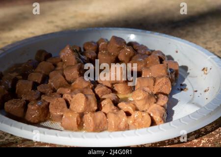 Selektiver Fokus von Instant-Katzenfutter auf weißem Kunststoffteller. Zylindrisches Katzenfutter aus Steak. Stockfoto