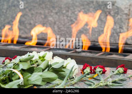 Sowjetische Soldaten Zweiten Weltkrieg Denkmal in Russland. Blumen lagen an einer Ewigen Flamme eines Ehrenbettes, Nahaufnahme mit selektivem Fokus Stockfoto