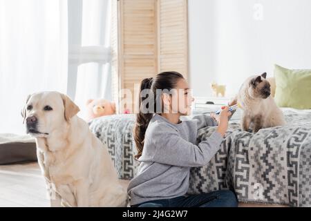 Fröhliches Mädchen macht Injektion mit Spielzeug Spritze zur Katze in der Nähe labrador Hund Stockfoto