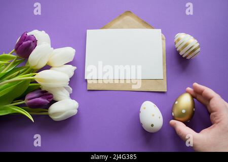 Ostergrüße: Bunte Eier, weiße Tulpen. Letter mit Kopierbereich, violettem Hintergrund. Hand hält goldenes Osterei. Stockfoto