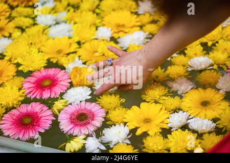 Die Hand einer Frau berührt Blumen im Wasser Stockfoto
