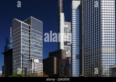 Blick vom Gallusanlage Park auf den berühmten Skyscraper im Finanzdistrikt in Frankfurt Hessen an Einem schönen Frühlingstag mit Klarem B Stockfoto