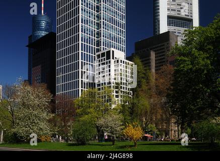 Blick vom Gallusanlage Park auf den berühmten Skyscraper im Finanzdistrikt in Frankfurt Hessen an Einem schönen Frühlingstag mit Klarem B Stockfoto