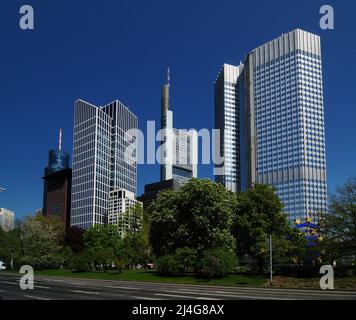 Blick vom Gallusanlage Park auf den Wolkenkratzer im Finanzdistrikt in Frankfurt Hessen an Einem schönen Frühlingstag mit Klarem blauen Himmel Stockfoto