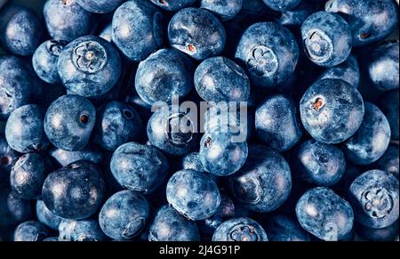 Haufen frischer Waldfrüchte. Full-Frame-Aufnahme der natürlichen Quelle von Vitaminen und Antioxidantien. High-Angle-Ansicht. Stockfoto