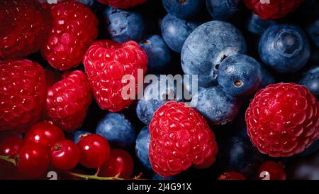 Nahaufnahme von frischen Beeren, Himbeeren und roten Johannisbeeren. Vollformat mit Fruchthintergrund. Stockfoto