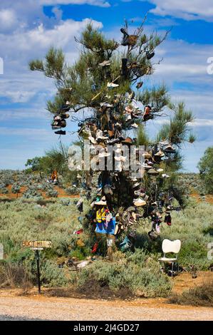 Der Stiefelbaum, an dessen Ästen viele Schuhe hängen, liegt auf dem Goyder Highway zwischen Morgan und Burra, Südaustralien Stockfoto