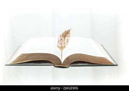 Geöffnetes dickes Buch schweben auf weißem Hintergrund, mit einem goldenen Blatt Stockfoto