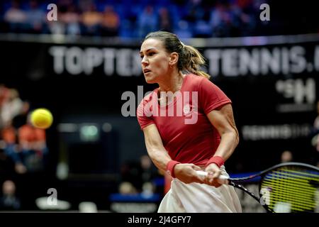 DEN Bosch - Nuria Parrizas (Spanien) im Einsatz gegen Aranxta Rus (Niederlande) im Einzelspiel der Qualifikationsrunde des Billie Jean King Cup. Die niederländischen Tennisspieler werden zwei Tage lang gegen Spanien spielen, in der Hoffnung, die Qualifikation zu erreichen. ANP SANDER KING Stockfoto