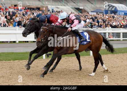 El Caballo unter Clifford Lee (rechts) gewinnt die Betway All-Weather Sprint Championships Conditions Stakes während des All Weather Championships Finals Day auf der Newcastle Racecourse, Newcastle upon Tyne. Bilddatum: Freitag, 15. April 2022. Stockfoto