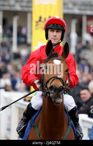 Highfield Princess, die von Jockey Jason Hart gefahren wurde, nachdem er die Coral All-Weather Foules' und Mares' Championships während des All Weather Championships Finals Day auf der Newcastle Racecourse, Newcastle upon Tyne, gewonnen hatte. Bilddatum: Freitag, 15. April 2022. Stockfoto