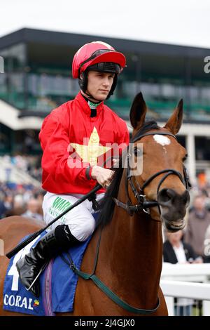 Highfield Princess, die von Jockey Jason Hart gefahren wurde, nachdem er die Coral All-Weather Foules' und Mares' Championships während des All Weather Championships Finals Day auf der Newcastle Racecourse, Newcastle upon Tyne, gewonnen hatte. Bilddatum: Freitag, 15. April 2022. Stockfoto