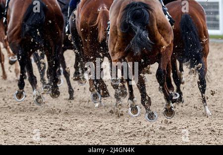 Läufer und Reiter während des All Weather Championships Finals Day auf der Rennbahn Newcastle upon Tyne. Bilddatum: Freitag, 15. April 2022. Stockfoto