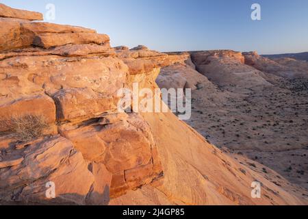 Sonnenaufgang über roten Steinfassungen und glatten Felsen im Scorpion Wilderness Study Area, Bureau of Land Management, Garfield County, Utah, USA Stockfoto