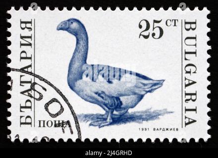 BULGARIEN - UM 1992: Eine in Bulgarien gedruckte Marke zeigt Gans, Nutztier, um 1992 Stockfoto