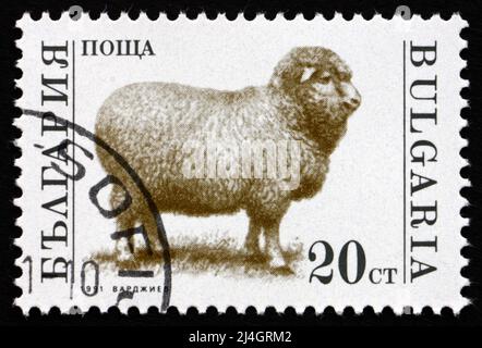 BULGARIEN - UM 1992: Eine in Bulgarien gedruckte Marke zeigt Schafe, Nutztiere, um 1992 Stockfoto