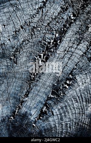 Abstrakter Hintergrund oder Texturdetail von gesägtem verwittertem Holz Stockfoto