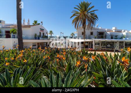 Praia de Wal do Lobo, Algarve Portugal Stockfoto